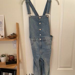 H&M Button Down Overalls